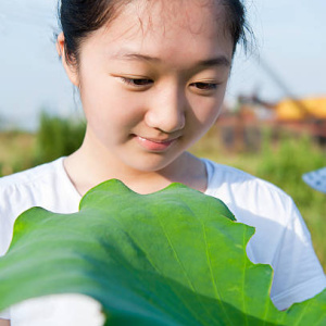 Võ Thị Thanh Hương