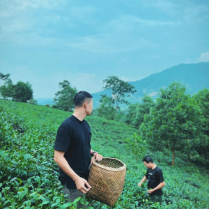 Thịnh Trần