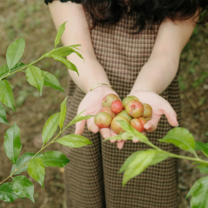 Phạm Trọng Phúc