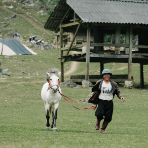 Bắc Trần